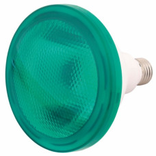 PAR38 Σκλήρας Υάλου LED16W πράσινη