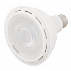 PAR 30 12W E27 COB CHIP